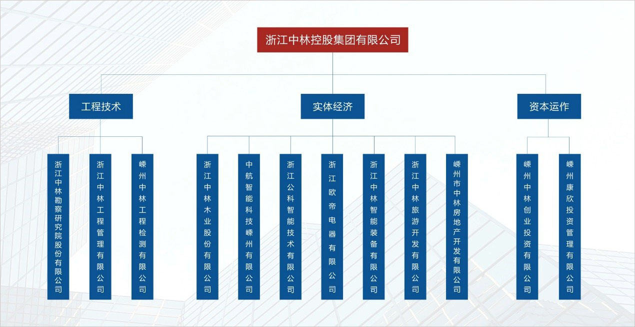 华天动力协同OA系统——大数据时代下中林控股集团的“稳固器